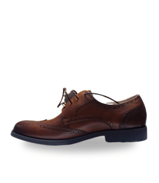 Comfortable Mens Clarks Casual Shoes