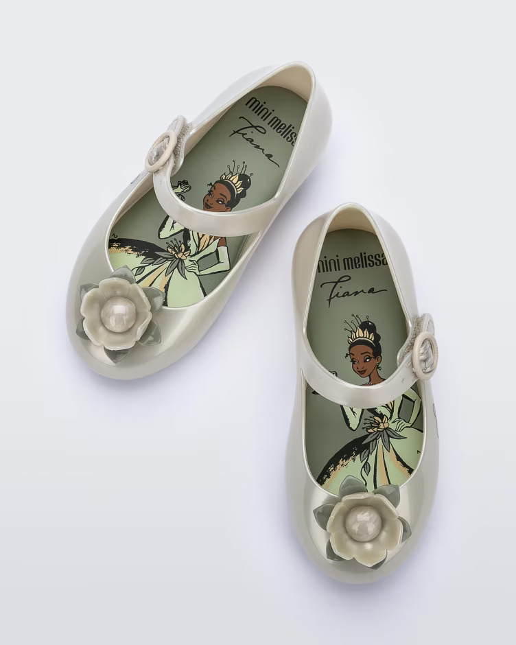 Mini Melissa Sweet Love Disney Princess Fiona Green 24